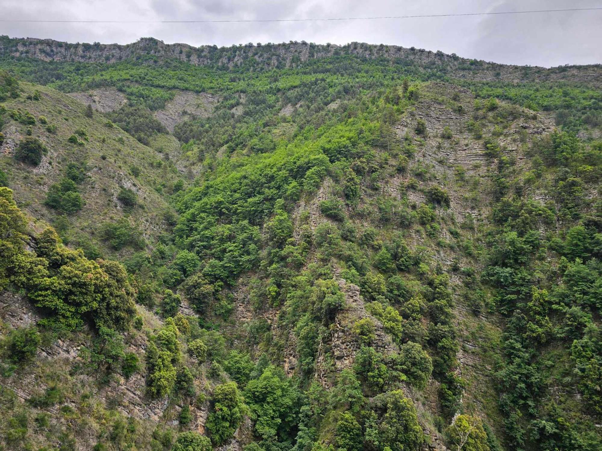 La Gruppio Panzió Ilonse Kültér fotó